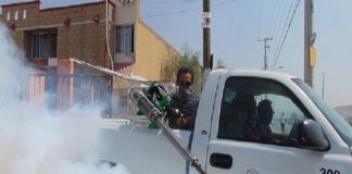 Servicio de desinfección y control de plagas
