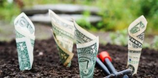 Cuentas de ahorro de alto rendimiento